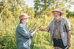 2020 Glen Davis Award recipients Aleta and Fred discuss cattail hybridization at Curry Park, Kemptville, Ontario