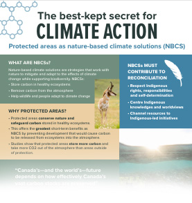 The best kept secret for climate action