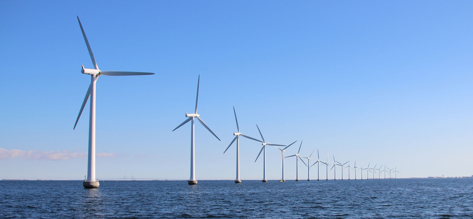 Featured image for “Protected: The Winds of Change: Fighting Climate Change Without Sacrificing Our Ocean”