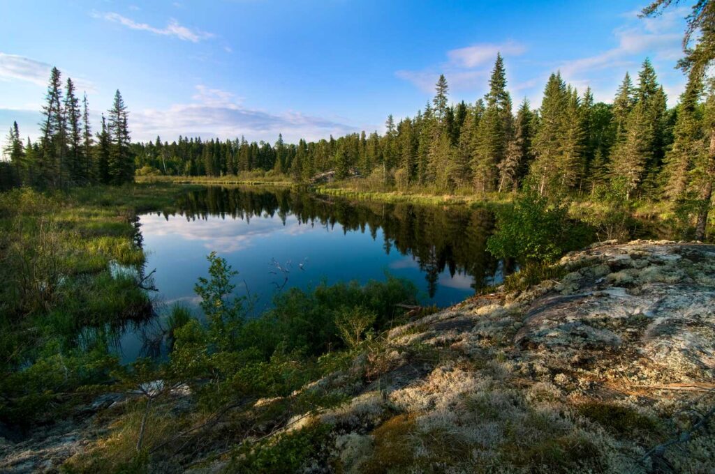 Small lac in the middle of a forest in Manitoba