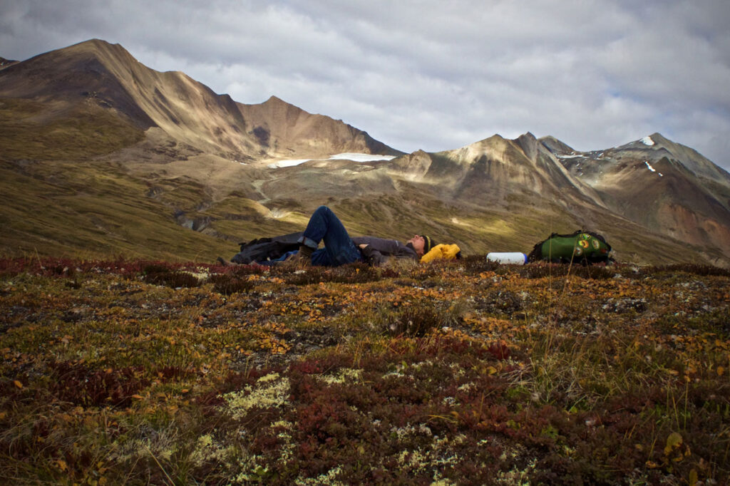 Men laying in the grass in Yukon