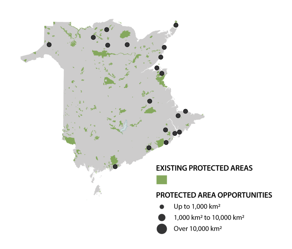 Map of new brunswick