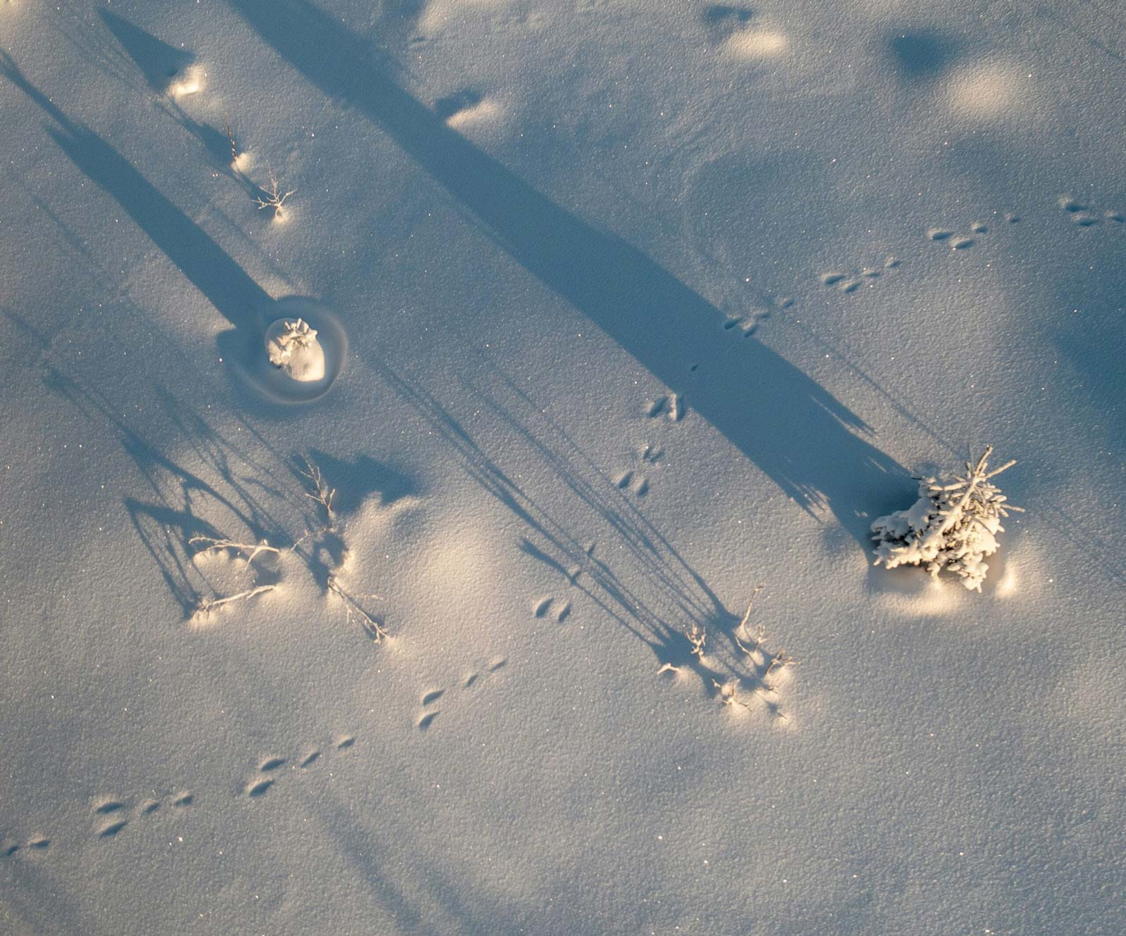 Ground covered in snow seen from above