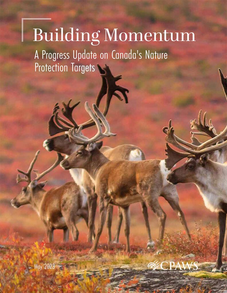 Cover of the document Building Momentum ; A progress Update on Canada's Nature Protection Targets
