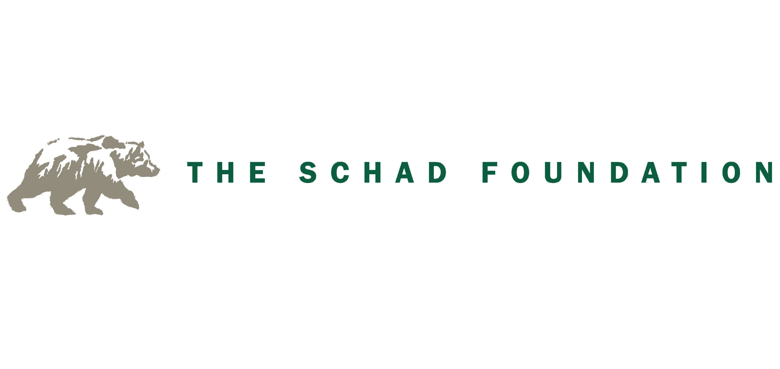 Logo of the Schad foundation