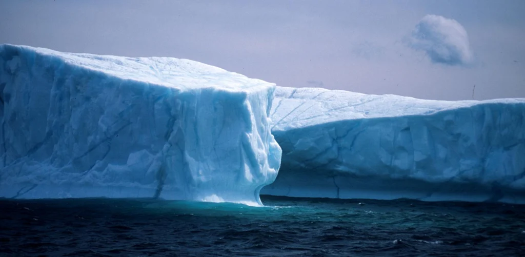 Iceberg