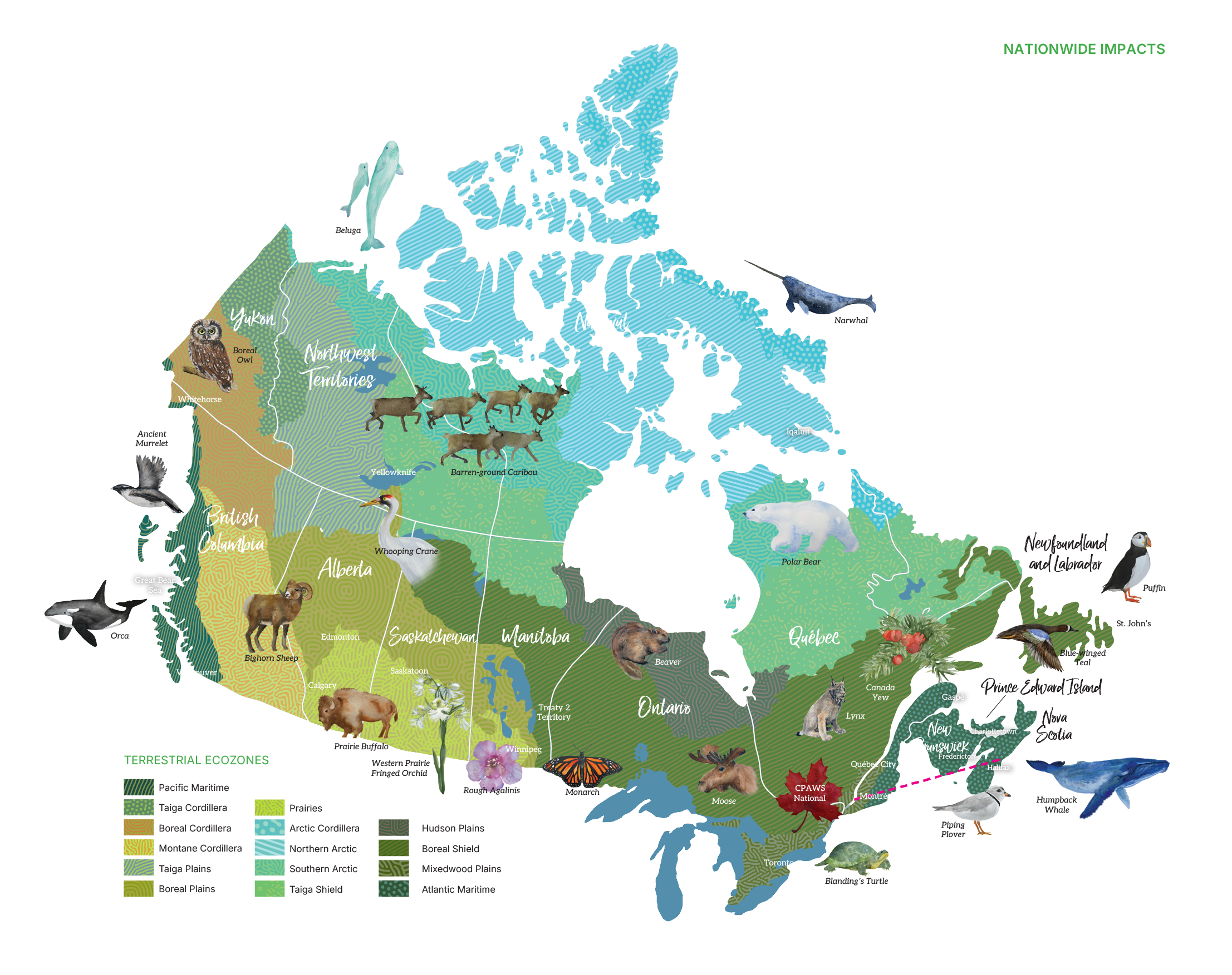 Map of Canada presenting the differents terrestrial ecozones