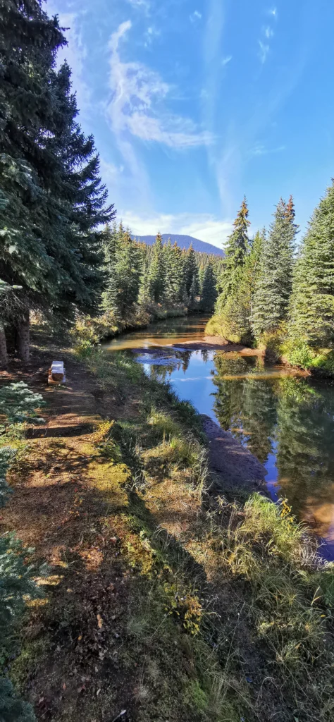 Wells Barkerville Community Forest, British Columbia