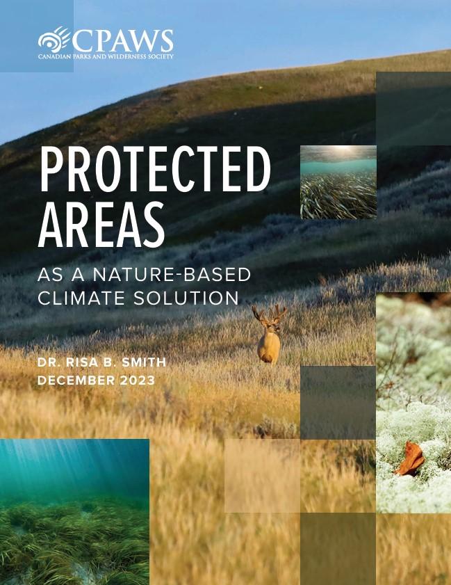 Cover of the document PROTECTED AREAS AS A NATURE-BASED CLIMATE SOLUTION