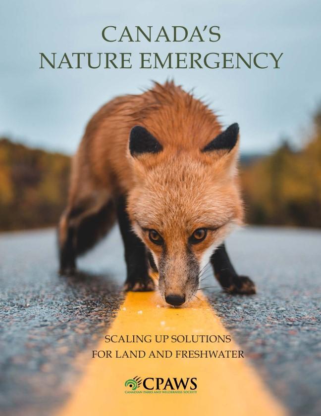 Cover of the report Canada's Nature Emergency