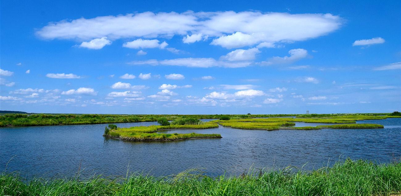 A lake surrounded by green grass under a blue sky.
