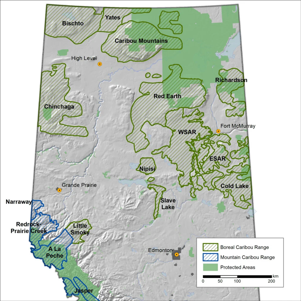 Woodland caribou herd ranges in Alberta