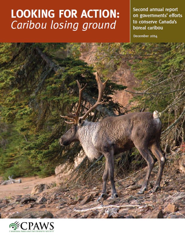 Cover of the document: 