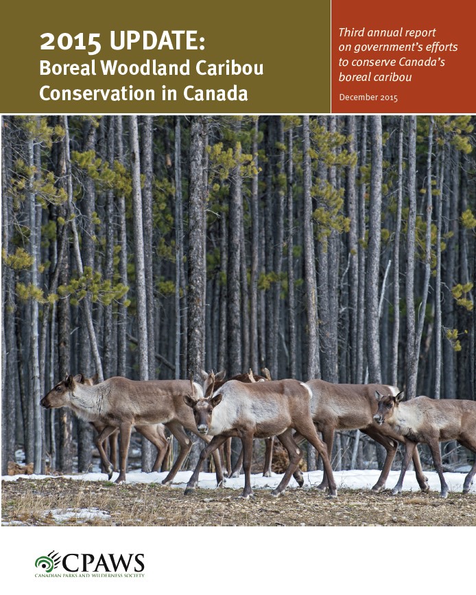 Cover of the report: 