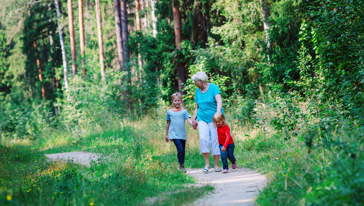 A little girl walking in the forest with her grandmother.