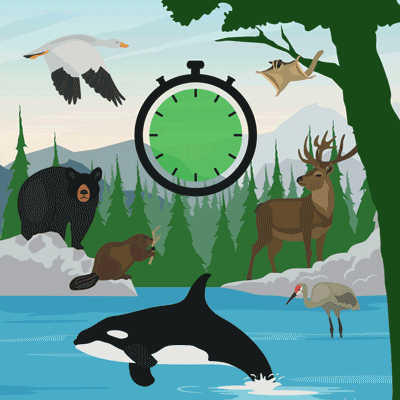 Animation montrant la perte de biodiversité en fonction du temps qui passe