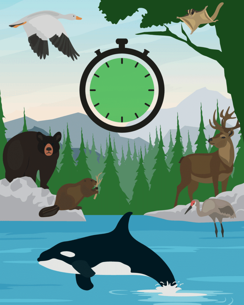 Animation montrant la perte de biodiversité en fonction du temps qui passe