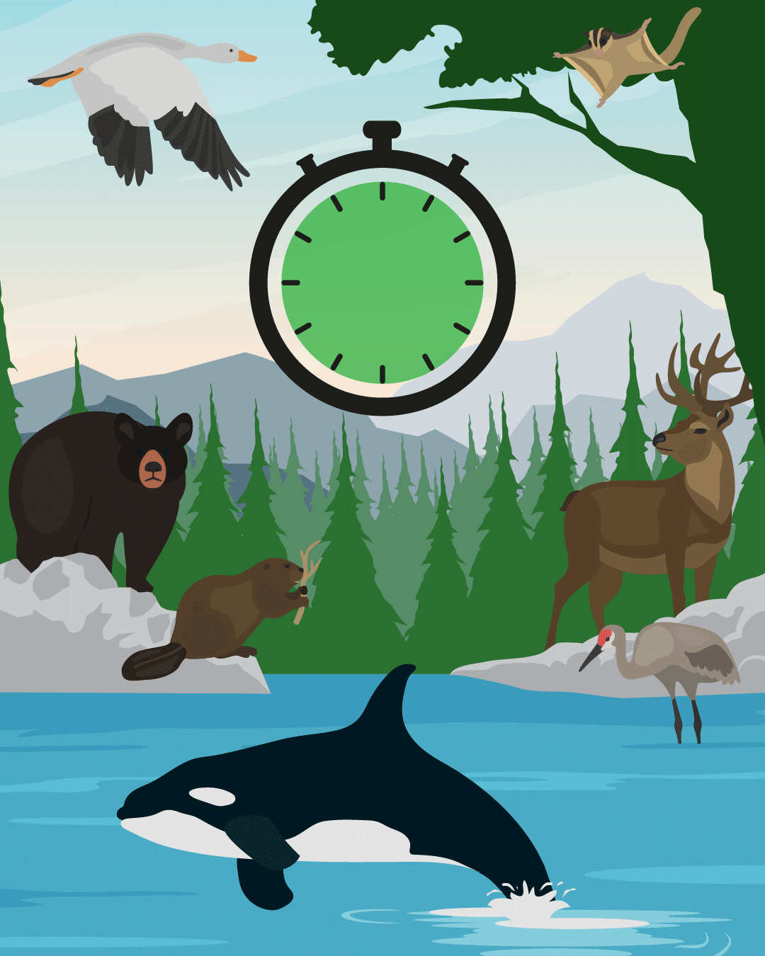 Clock ticking showing more biodiversity loss every second