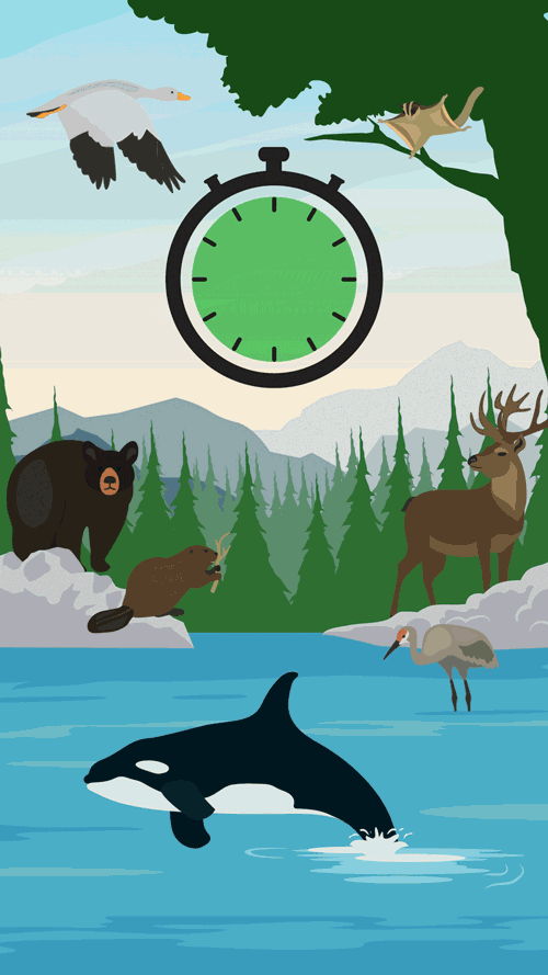 Animation montrant la perte de biodiversité en fonction du temps qui passe