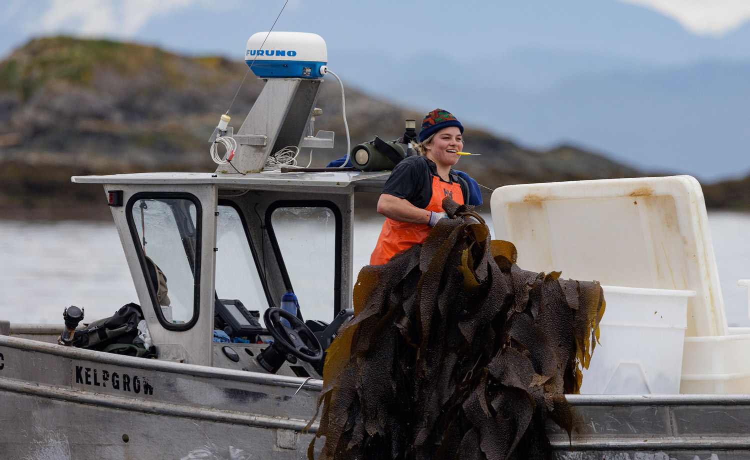 Women on a boat hishing kelp