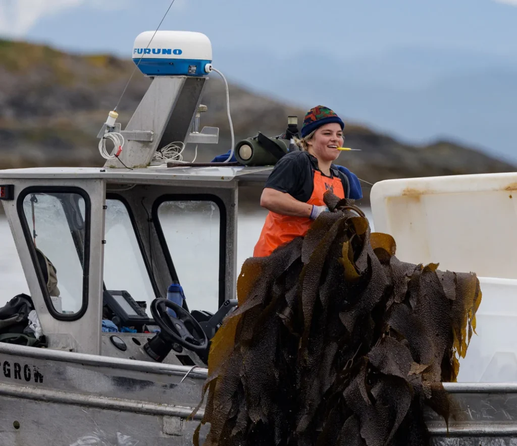 Women on a boat hishing kelp