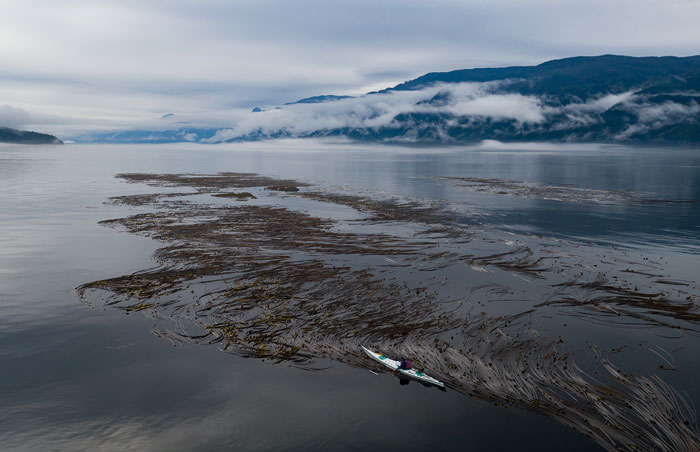 Aerial view of a person kayaking in a bay in Canada.