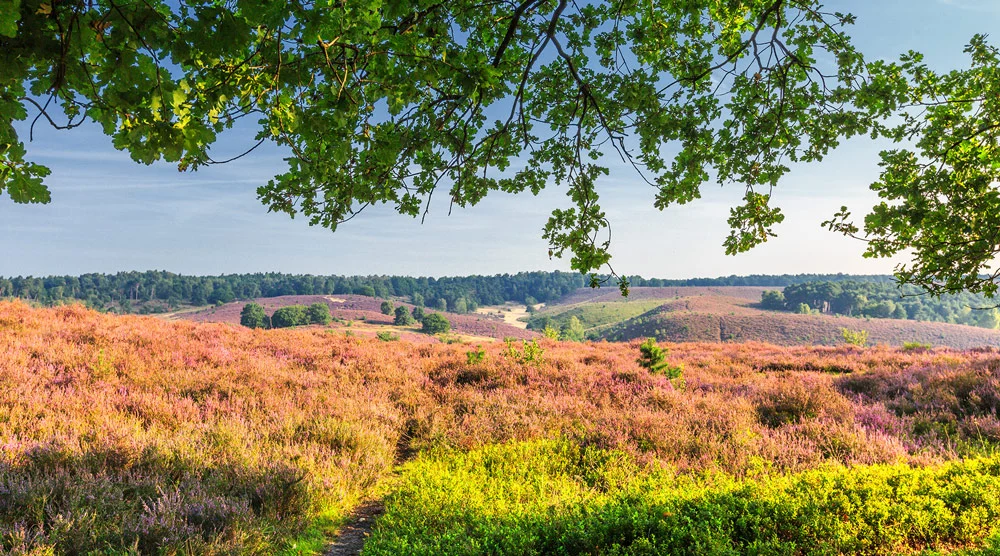 Posbank Nature Reserve