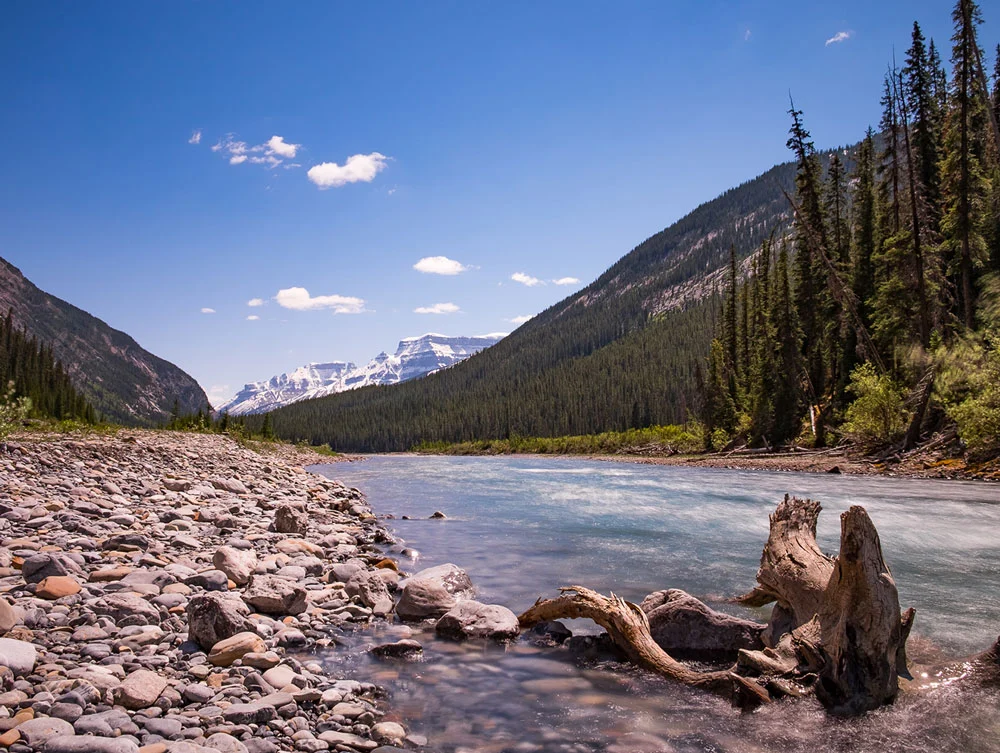 Une montagne se dressant à l’arrière-plan d’une rivière dans le parc national de Banff.