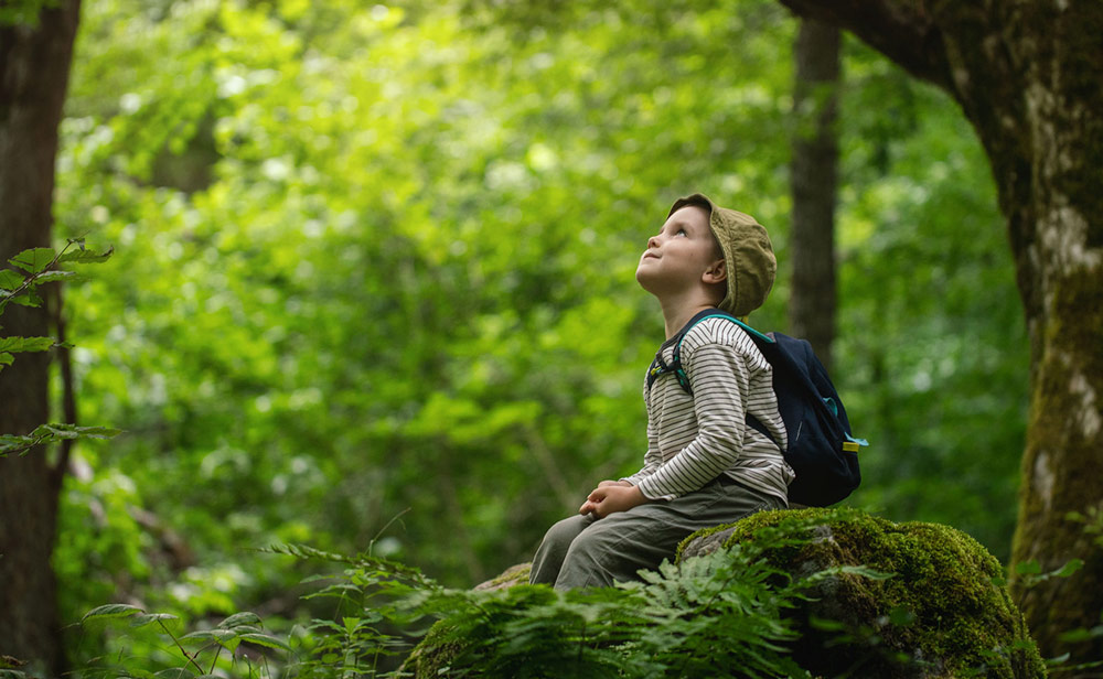 Little boy sitting on a rock in nature