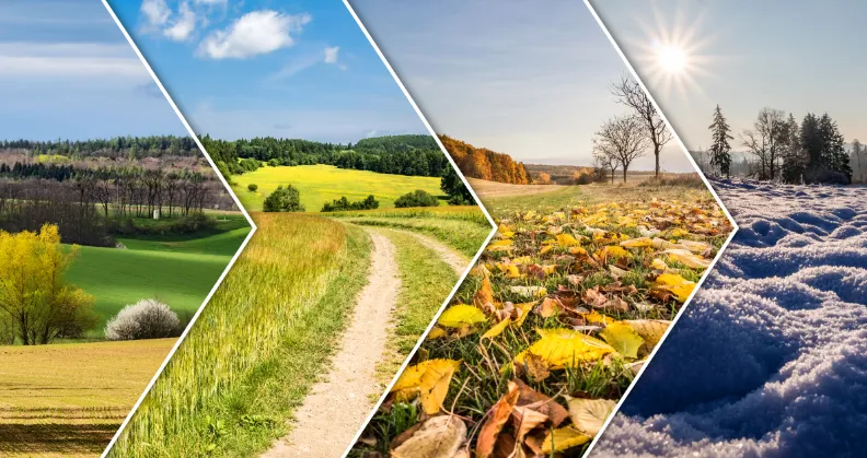 all four seasons in arrow shape