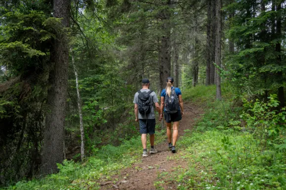 People going for a walk in their local forest