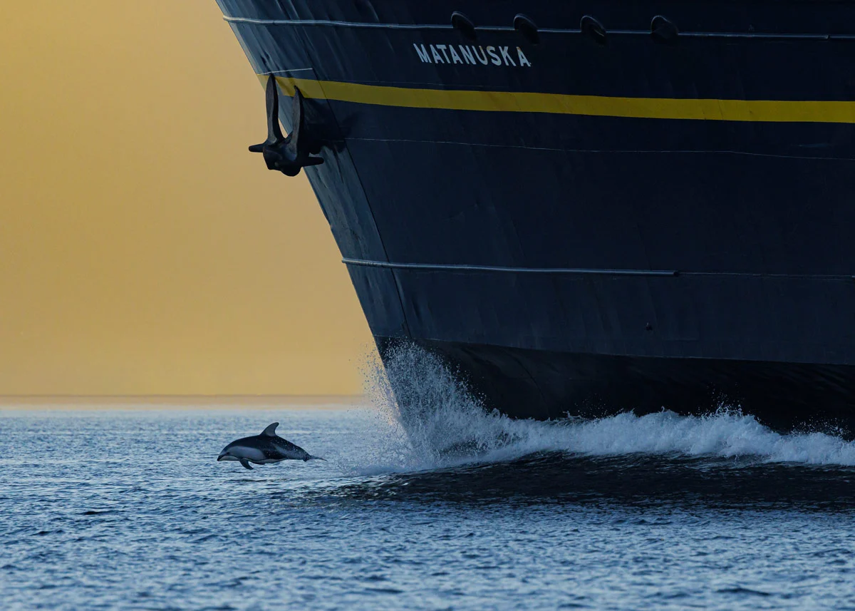 Close-up of the hull of a massive ship.