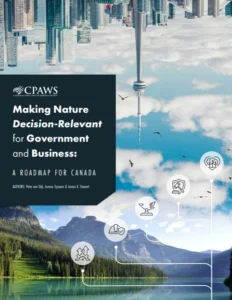 Cover of the report: Making Nature Decision-Relevant for Government and Business