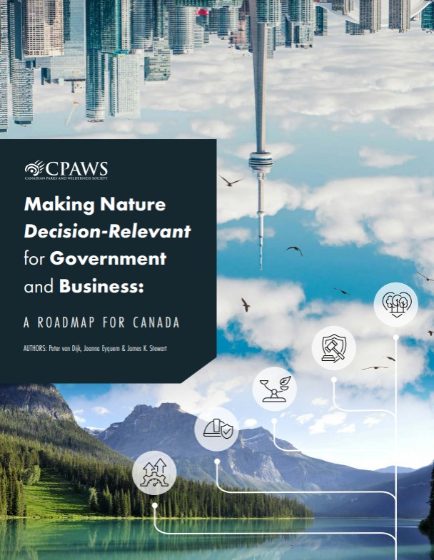 Cover of the report: Making Nature Decision-Relevant for Government and Business