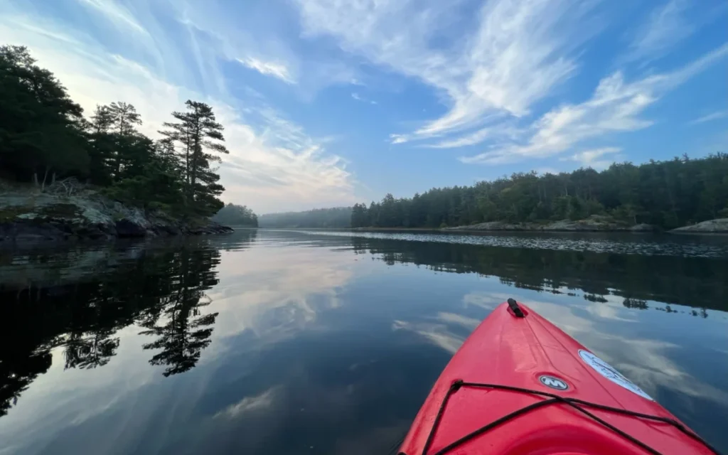 Kayak travelling along a river surrounded by trees